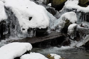 Inverno lungo il ruscello