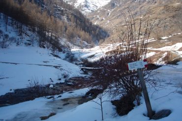 In silenzio nel silenzio