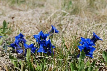 Le calze del ‘Cucù’