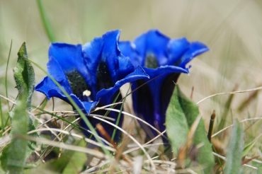 Le calze del ‘Cucù’