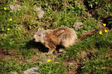 Non serve capire tutto