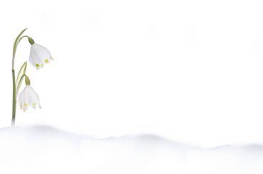 ‘Dop en temp ai na ven n’aut’