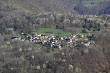 Dove fioriscono i ciliegi