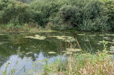 Amori a Villar Perosa