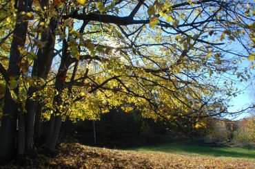 Pensieri d’autunno