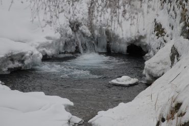 Dal Professor Freddo