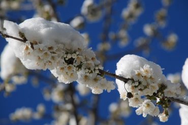 ‘E dàila. Tùrna fiùcà!’